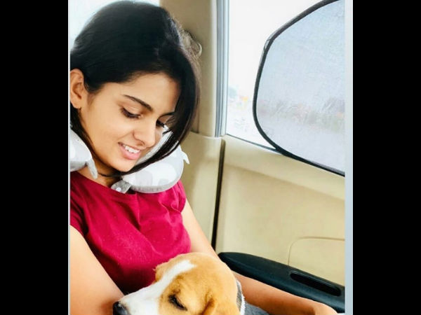 ಆಕರ್ಷಕ ಫೋಟೋಗಳು