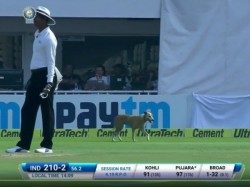 Bizarre Dog Forces Early Tea On Day 1 India England 2nd Test